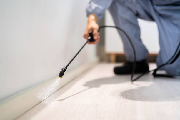 Professional exterminator conducting IPM assessment in Amherst